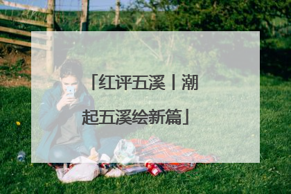 红评五溪丨潮起五溪绘新篇