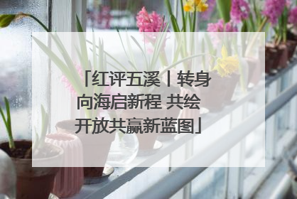 红评五溪丨转身向海启新程 共绘开放共赢新蓝图