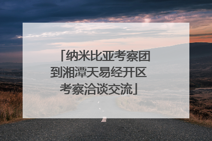 纳米比亚考察团到湘潭天易经开区考察洽谈交流