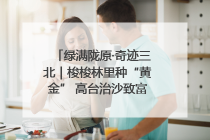 绿满陇原·奇迹三北｜梭梭林里种“黄金” 高台治沙致富很“从容”