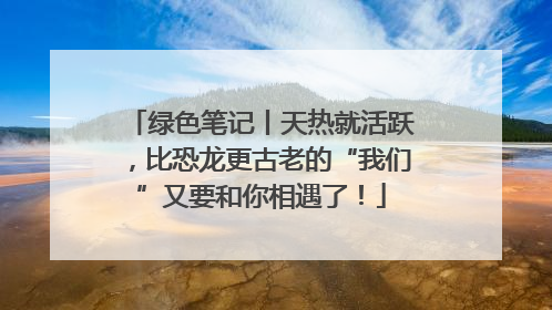 绿色笔记丨天热就活跃，比恐龙更古老的“我们”又要和你相遇了！