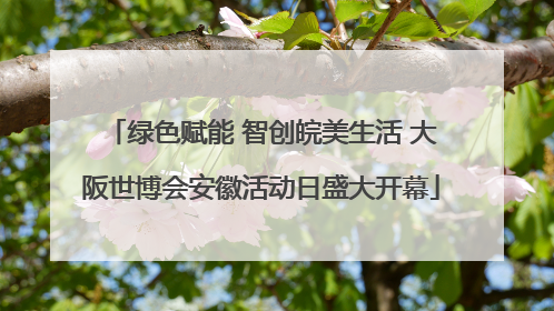 绿色赋能 智创皖美生活 大阪世博会安徽活动日盛大开幕