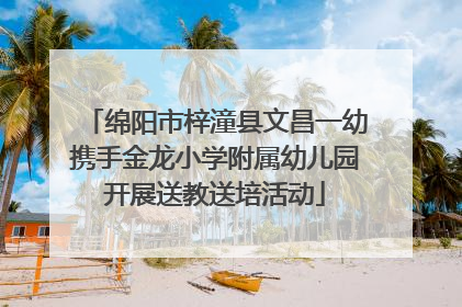 绵阳市梓潼县文昌一幼携手金龙小学附属幼儿园开展送教送培活动