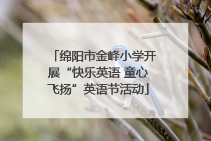 绵阳市金峰小学开展“快乐英语 童心飞扬”英语节活动