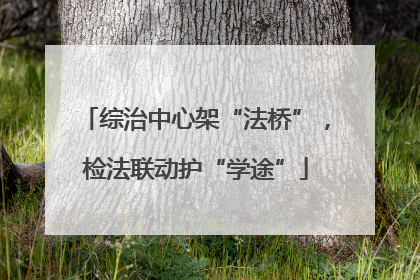 综治中心架“法桥”，检法联动护“学途”