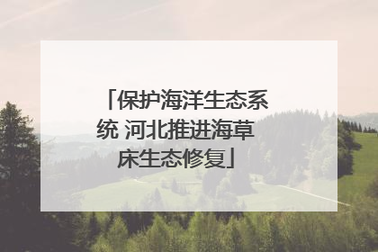 保护海洋生态系统 河北推进海草床生态修复