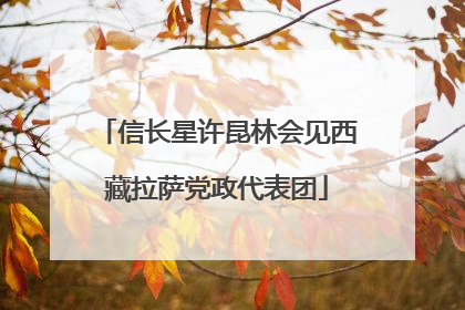 信长星许昆林会见西藏拉萨党政代表团