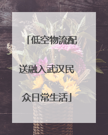 低空物流配送融入武汉民众日常生活