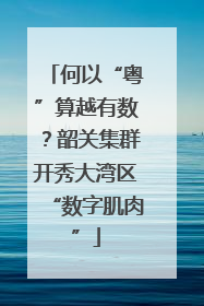 何以“粤”算越有数？韶关集群开秀大湾区“数字肌肉”