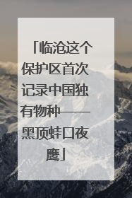 临沧这个保护区首次记录中国独有物种——黑顶蛙口夜鹰