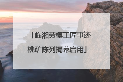 临湘劳模工匠事迹桃矿陈列揭幕启用
