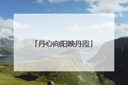 丹心向阳映丹霞