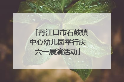 丹江口市石鼓镇中心幼儿园举行庆六一展演活动