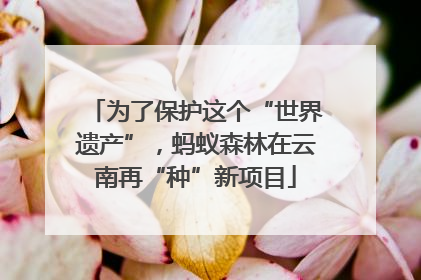 为了保护这个“世界遗产”，蚂蚁森林在云南再“种”新项目