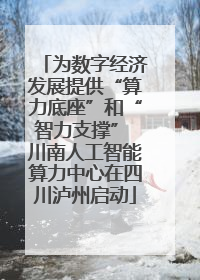 为数字经济发展提供“算力底座”和“智力支撑” 川南人工智能算力中心在四川泸州启动