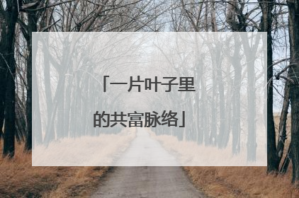 一片叶子里的共富脉络