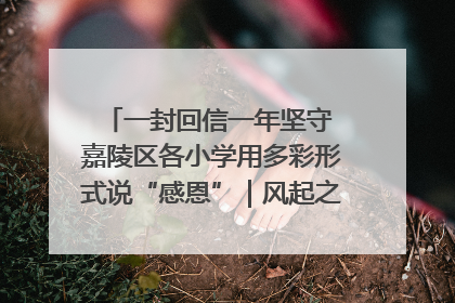一封回信一年坚守 嘉陵区各小学用多彩形式说“感恩”｜风起之江 扶摇直上