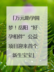 万元助孕圆梦！岳阳“好孕相伴”公益项目迎来首个新生宝宝