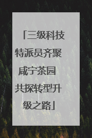 三级科技特派员齐聚咸宁茶园 共探转型升级之路