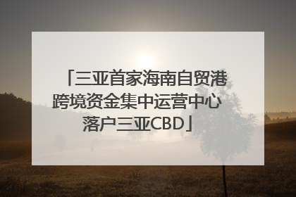 三亚首家海南自贸港跨境资金集中运营中心落户三亚CBD