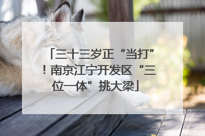 三十三岁正“当打”！南京江宁开发区“三位一体”挑大梁