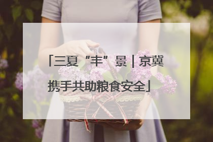三夏“丰”景｜京冀携手共助粮食安全
