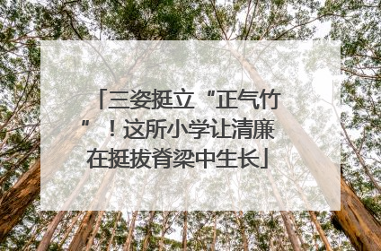 三姿挺立“正气竹”！这所小学让清廉在挺拔脊梁中生长