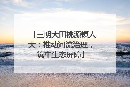 三明大田桃源镇人大：推动河流治理，筑牢生态屏障