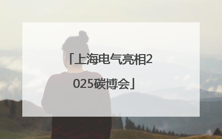 上海电气亮相2025碳博会