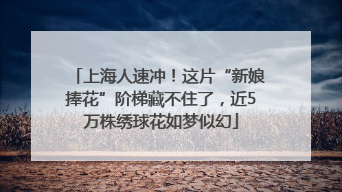 上海人速冲！这片“新娘捧花”阶梯藏不住了，近5万株绣球花如梦似幻