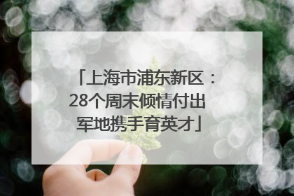 上海市浦东新区：28个周末倾情付出 军地携手育英才