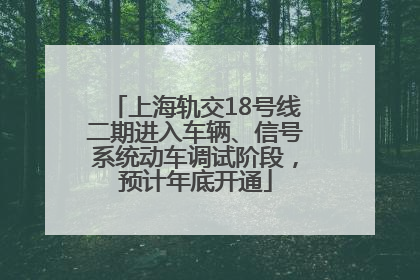 上海轨交18号线二期进入车辆、信号系统动车调试阶段，预计年底开通