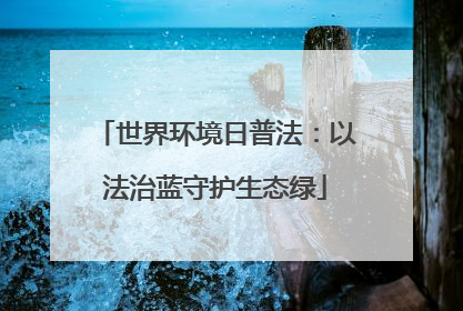 世界环境日普法：以法治蓝守护生态绿