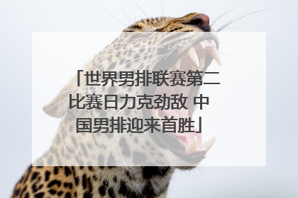 世界男排联赛第二比赛日力克劲敌 中国男排迎来首胜