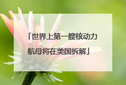 世界上第一艘核动力航母将在美国拆解