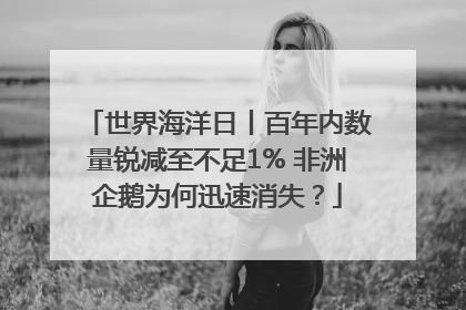 世界海洋日丨百年内数量锐减至不足1% 非洲企鹅为何迅速消失？