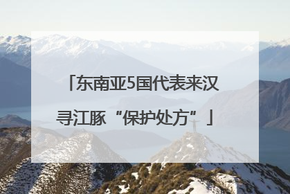 东南亚5国代表来汉寻江豚“保护处方”
