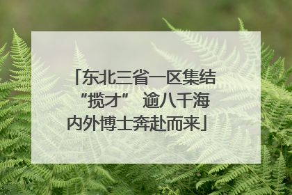 东北三省一区集结“揽才” 逾八千海内外博士奔赴而来