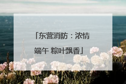 东营消防：浓情端午 粽叶飘香