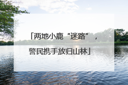 两地小鹿“迷路”，警民携手放归山林