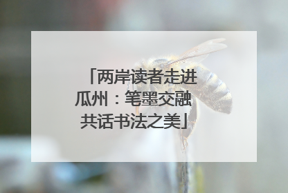 两岸读者走进瓜州：笔墨交融共话书法之美
