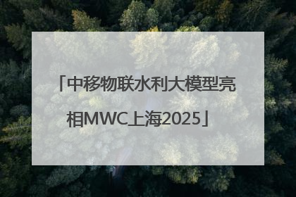 中移物联水利大模型亮相MWC上海2025