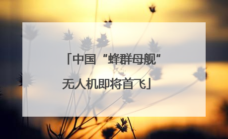 中国“蜂群母舰”无人机即将首飞