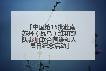 中国第15批赴南苏丹（瓦乌）维和部队参加联合国维和人员日纪念活动