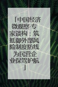 中国经济微观察·专家谈构：筑抵御外部风险制度防线 为民营企业保驾护航