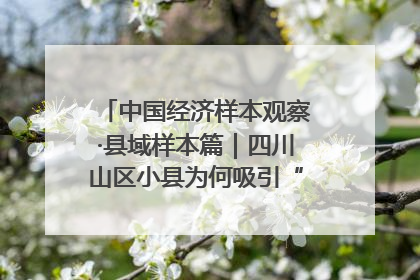 中国经济样本观察·县域样本篇｜四川山区小县为何吸引“村播”扎堆？