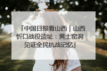 中国日报看山西｜山西忻口战役遗址：黄土窑洞见证全民抗战记忆