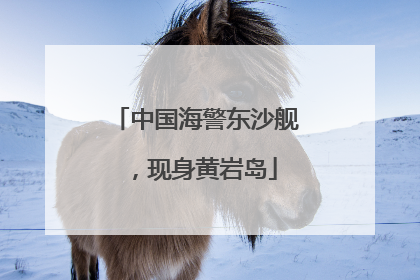 中国海警东沙舰，现身黄岩岛