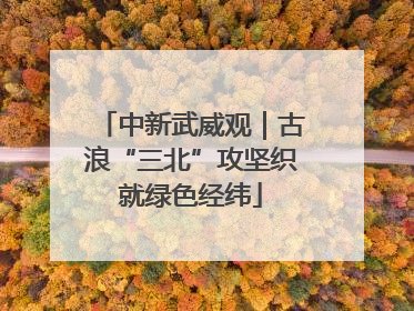 中新武威观｜古浪“三北”攻坚织就绿色经纬