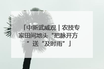 中新武威观｜农技专家田间地头“把脉开方”送“及时雨”